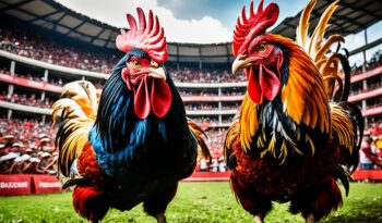 Link Sabung Ayam Terupdate Dan Terbaru di Indonesia